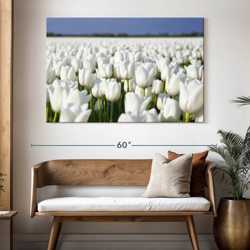Tulipes blanches sans fin Alvord
