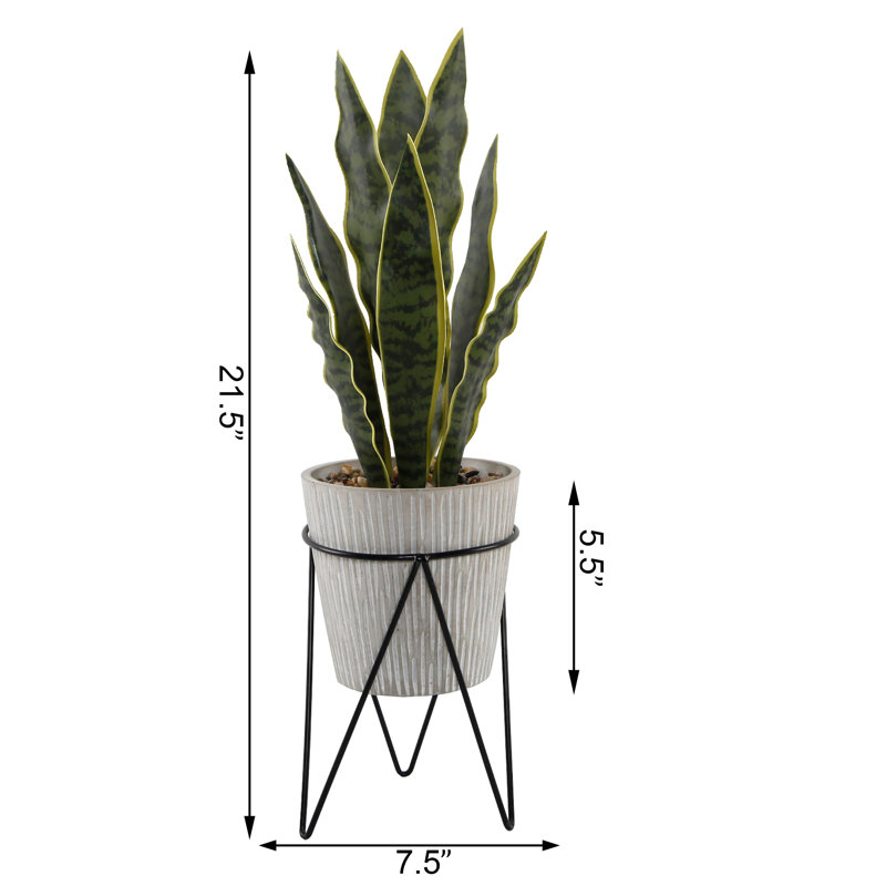 21.5'' Faux Snake Plant (Sansevieria) Plant in Pot