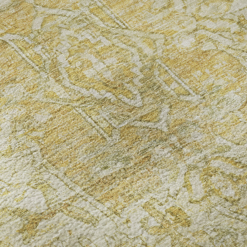 Premium Machine Washable Lucchesi AMF1728 Global Rug, Rectangle 1'8" x 2'6"