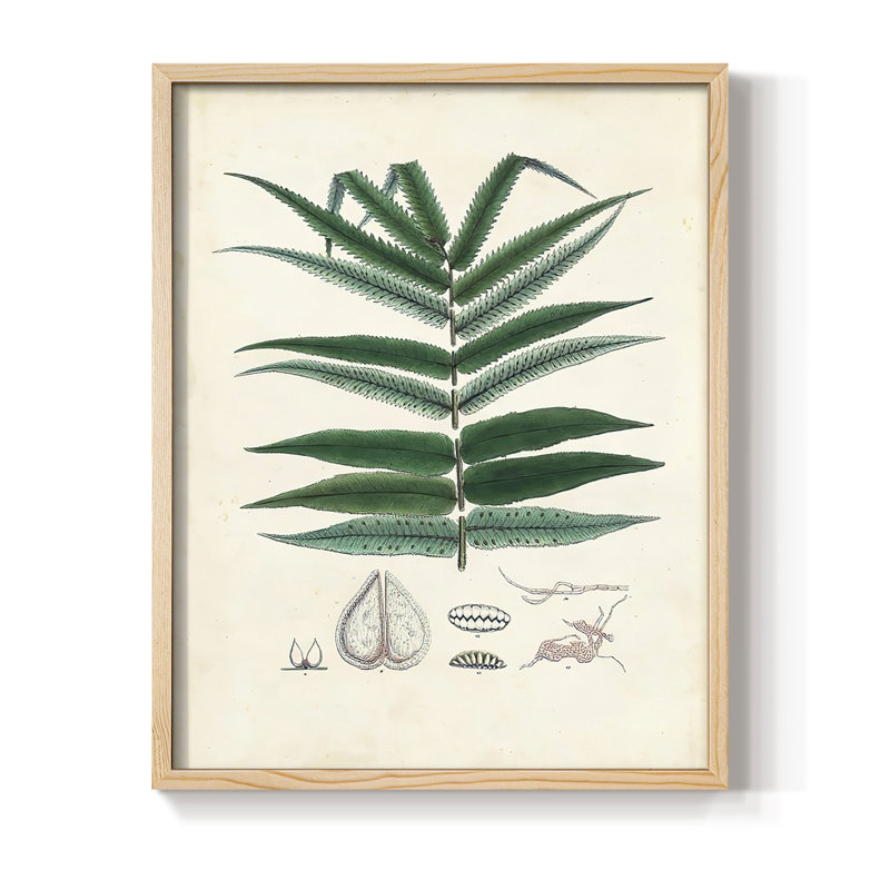 Figurines colligées, reproduction encadrée - bois massif, H 11 po x l 9 po