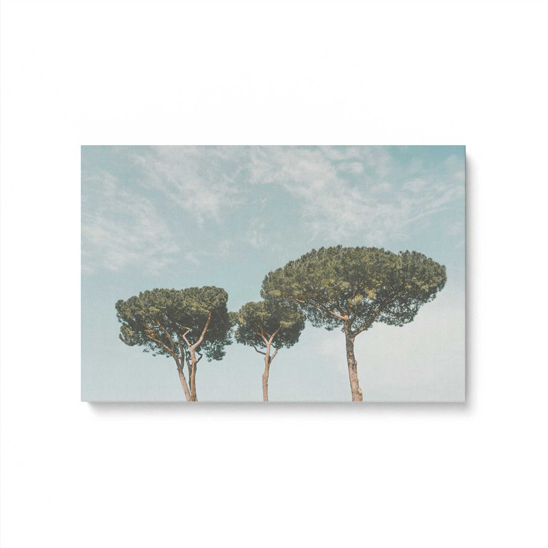 «Tall Tranquility», reproduction sur toile, H 12 po x l 18 po x P 1,25 po, Toile tendue