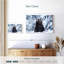 Grizzly dans la neige-107675096
