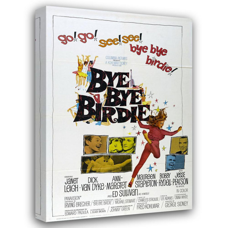Bye Bye Birdie
