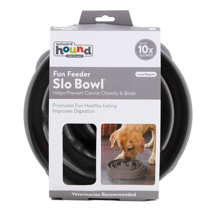 Outward Hound Fun Feeder Slow Bowl, Slow Feeder Dog Bowl, Small, Mint &  Reviews