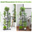 Plant Stand - Set of 6