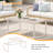 Rectangle Black Coffee Table With Tempered Glass-1437100547