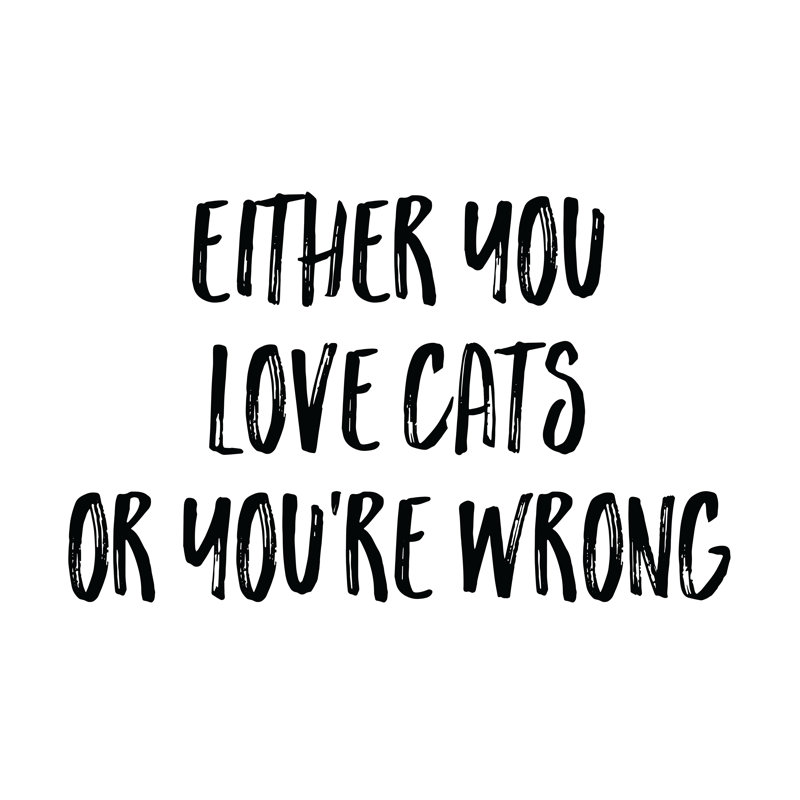 Love Cats - Wrapped Canvas Print, 30cm H x 30cm W x 3.8cm D