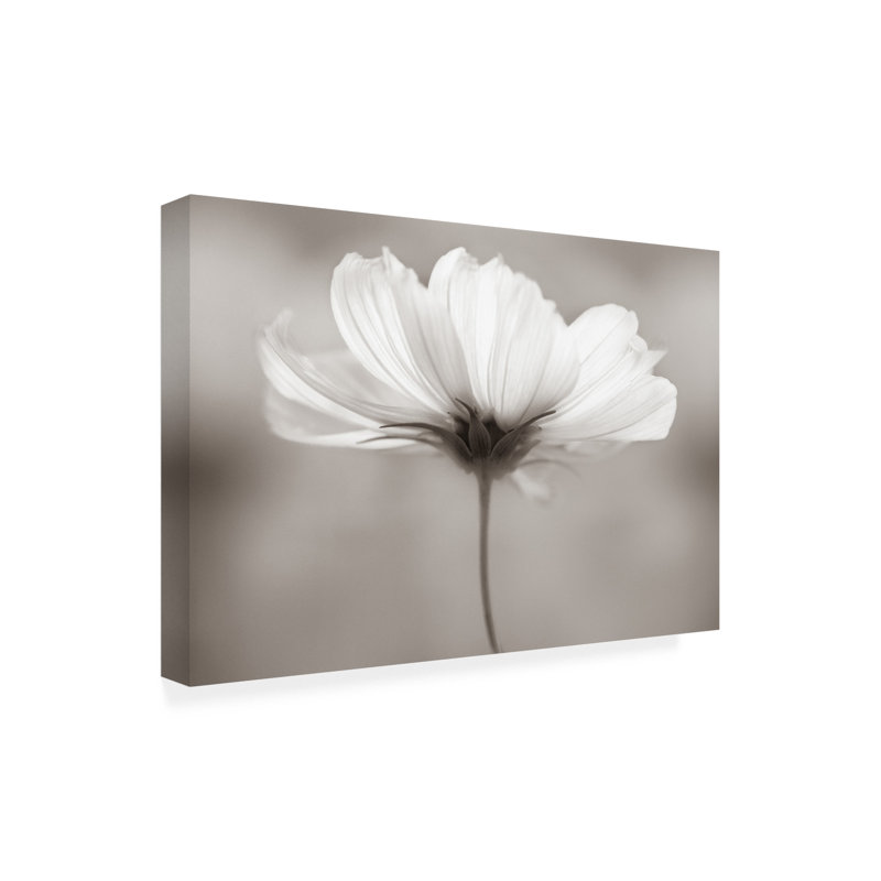 Art sur toile Penny Myles Cosmos, H 22 po x l 32 po