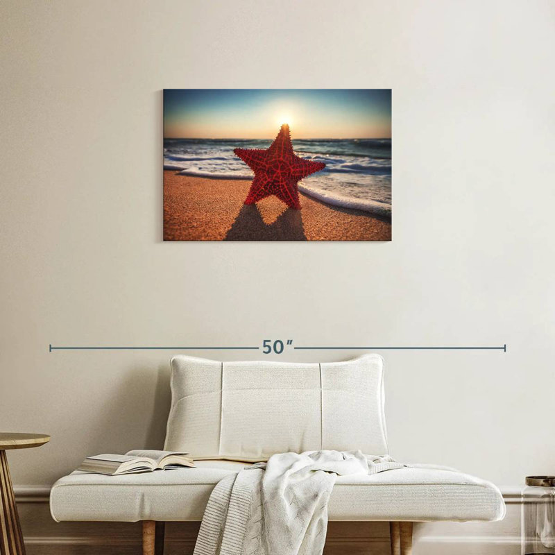 Crowle Seashore Starfish