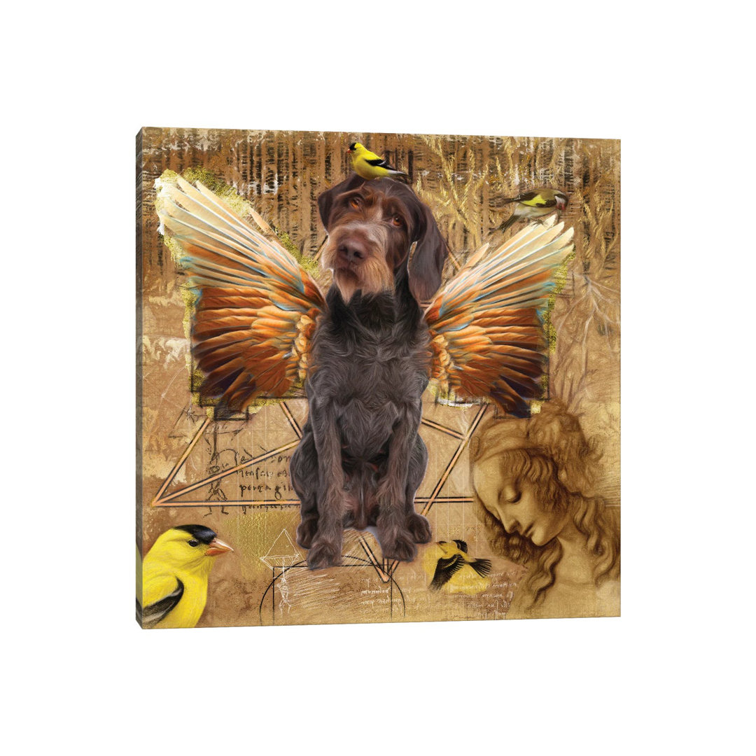 German Wirehaired Pointer Angel Da Vinci