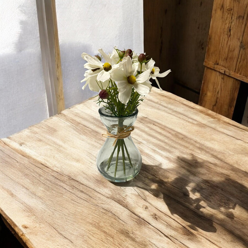Cosmos Vase