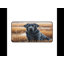 Polyester Desk Pad-994700057