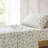 Rose Garden Cotton Sheet Set Blue-111329039