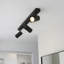 Rex Ceiling Spotlight