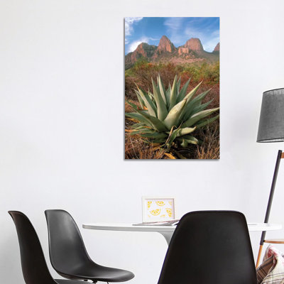 Chisos Agave And The Chisos Mountains, Big Bend National Park, Texas I by Tim Fitzharris - Wrapped Canvas Print