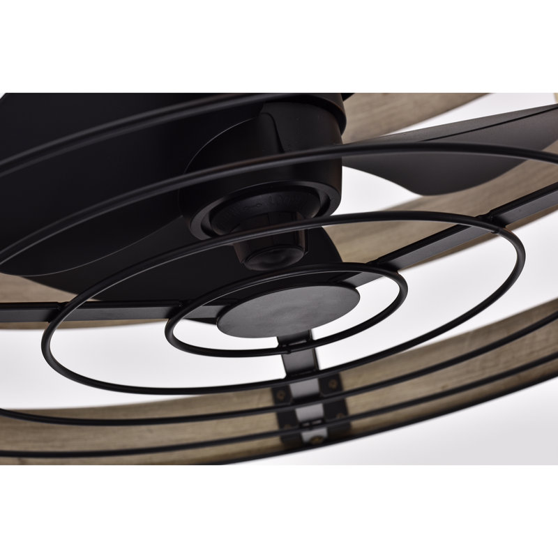 Descartes Ceiling Fan with Light Kit