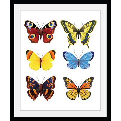 Butterflies - Single Picture Frame Print