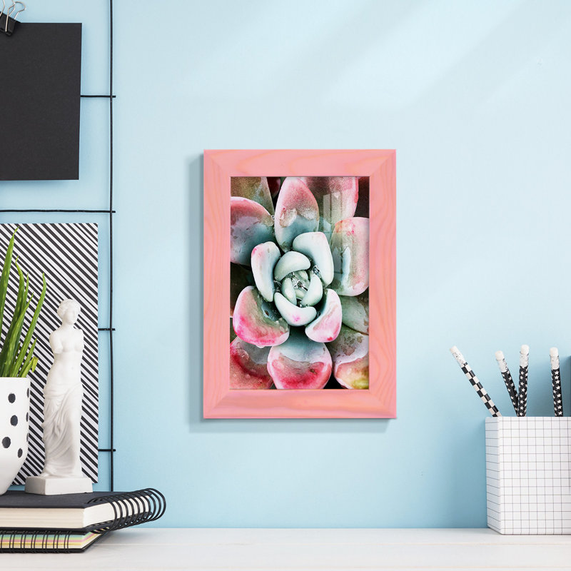 Pastel Succulent Beauty V, reproduction d'art sur papier, H 7 po x l 5 po x P 1 po, Rose