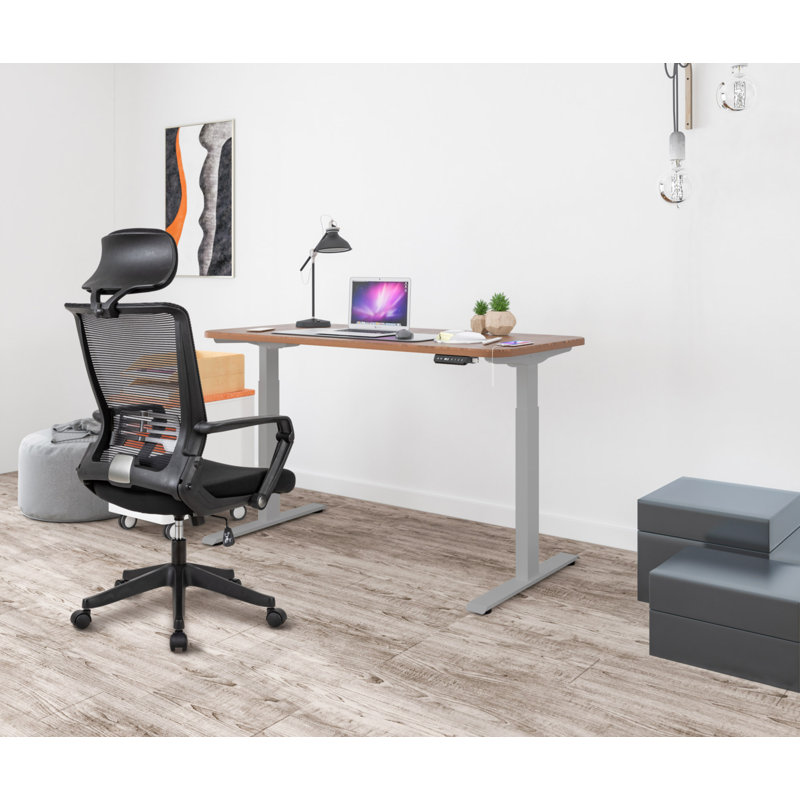Bureau debout Carntall, bureau réglable, bureau à domicile, Argent / gris