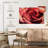 Harnek Stunning Pink Rose-111960811