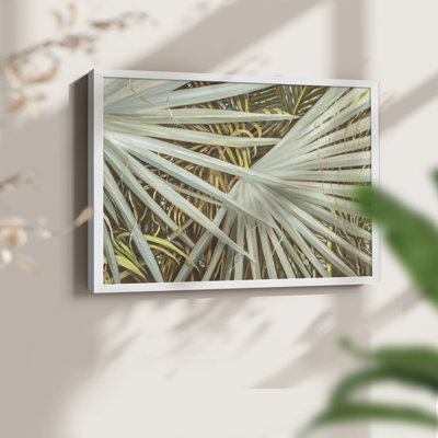 Suave Fronds - impression encadrée - réaménageable