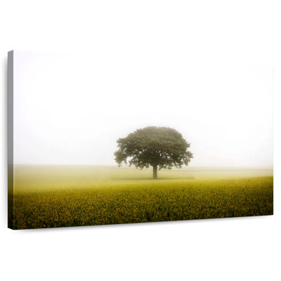 Alvord Lone Tree