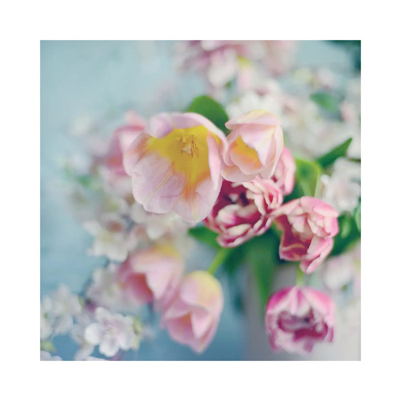 Pulled From The Garden I by Sarah Gardner - Print on Canvas, Wrapped Canvas, 45.72 cm H x 45.72 cm W x 1.91 cm D