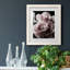 Rose noire II - photographie-1227621814-1227621818