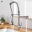 Belfry Kitchen Allicia Pull Down Kitchen Faucet