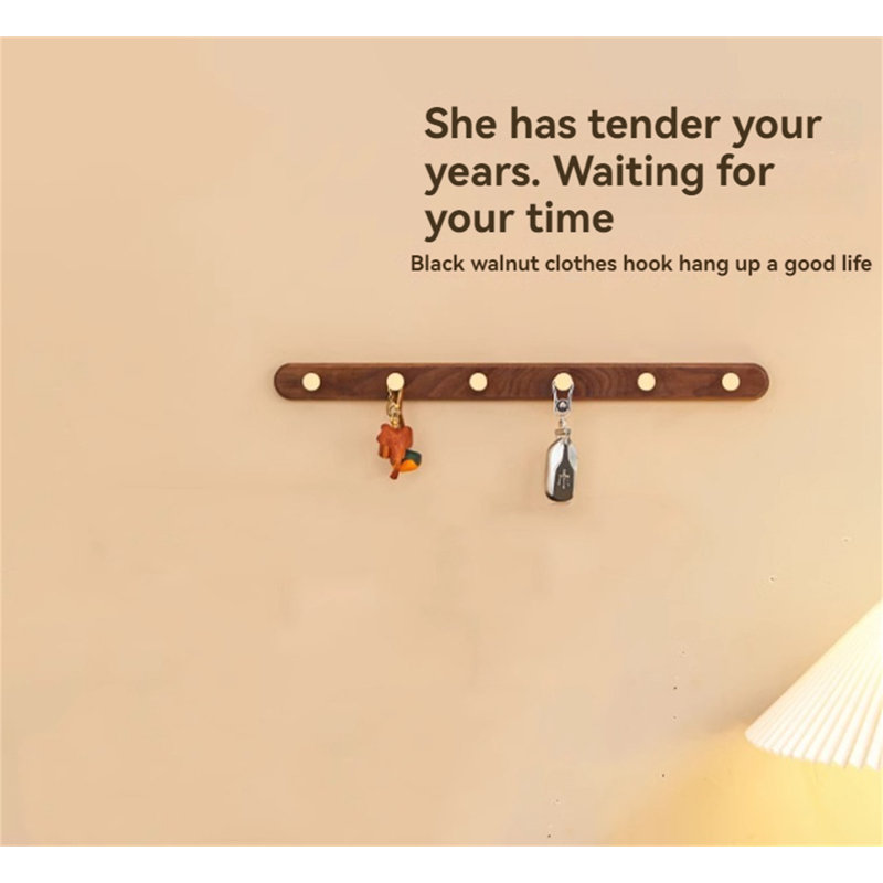 Wall Mounted Clothes Hanger
