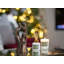 Holiday Scented Tumbler Candle with Glass Holder