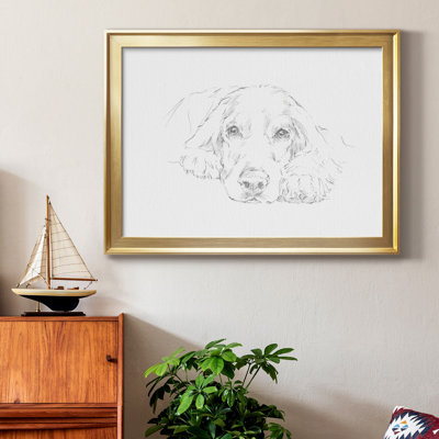 Lazy Dog II