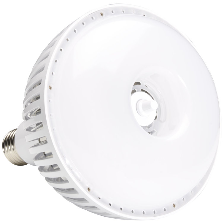 Equivalent EX39/Mogul Extended Dimmable LED Bulb
