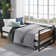 Barrett Metal Daybed with Trundle Pull-Out - Sturdy Black Metal frame - Modern Industrial frame