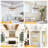 Cavitt 6-Light Dimmable Beaded Empire Chandelier