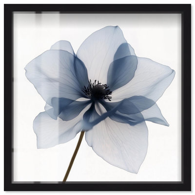 «Morning Petalia II Shadowbox», impression d'art floral bleu par Art Remedy