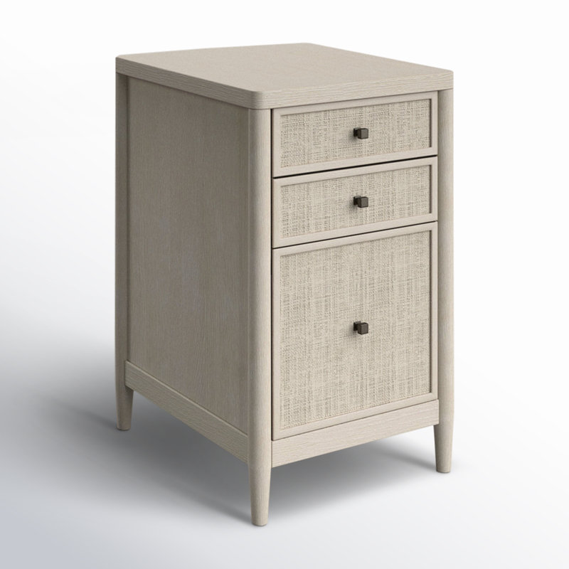 Shannen 18'' Wide 2 -Drawer File Cabinet