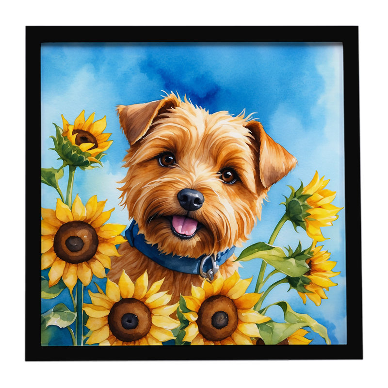 Norfolk Terrier avec tournesols, reproduction d'art encadrée