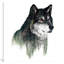 « loup i », impression sur toile-21402865-74640874-74640875