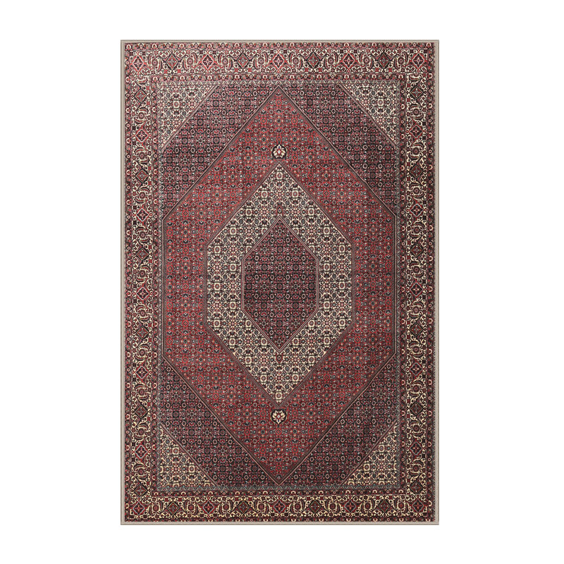 Akbar Oriental Indoor Rug, Rectangle 8' x 10'