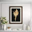 Large Shell 4 Print