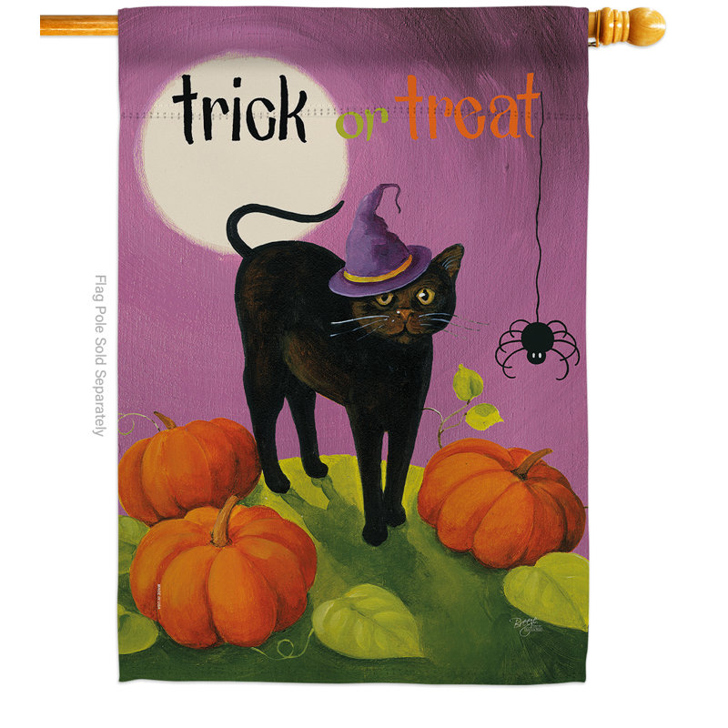Chat d’halloween à 2 faces 40 x 28 po drapeau pour la maison