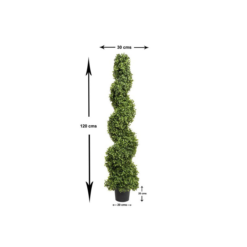 125cm Plant
