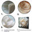 Seashell Monochromatic Whispers II - Animals Canvas Prints-1973113619-1973113616