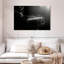 Caisse claire Abarca Spotlit-108706129