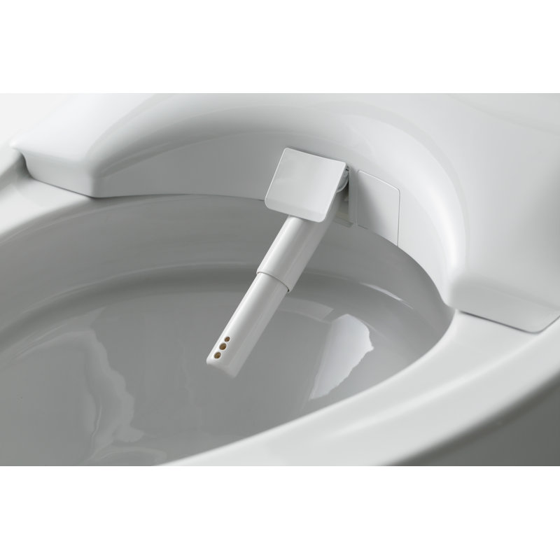 Neorest® Elongated Floor Mounted Bidet Toilet (Seat Included) 141 Lbs