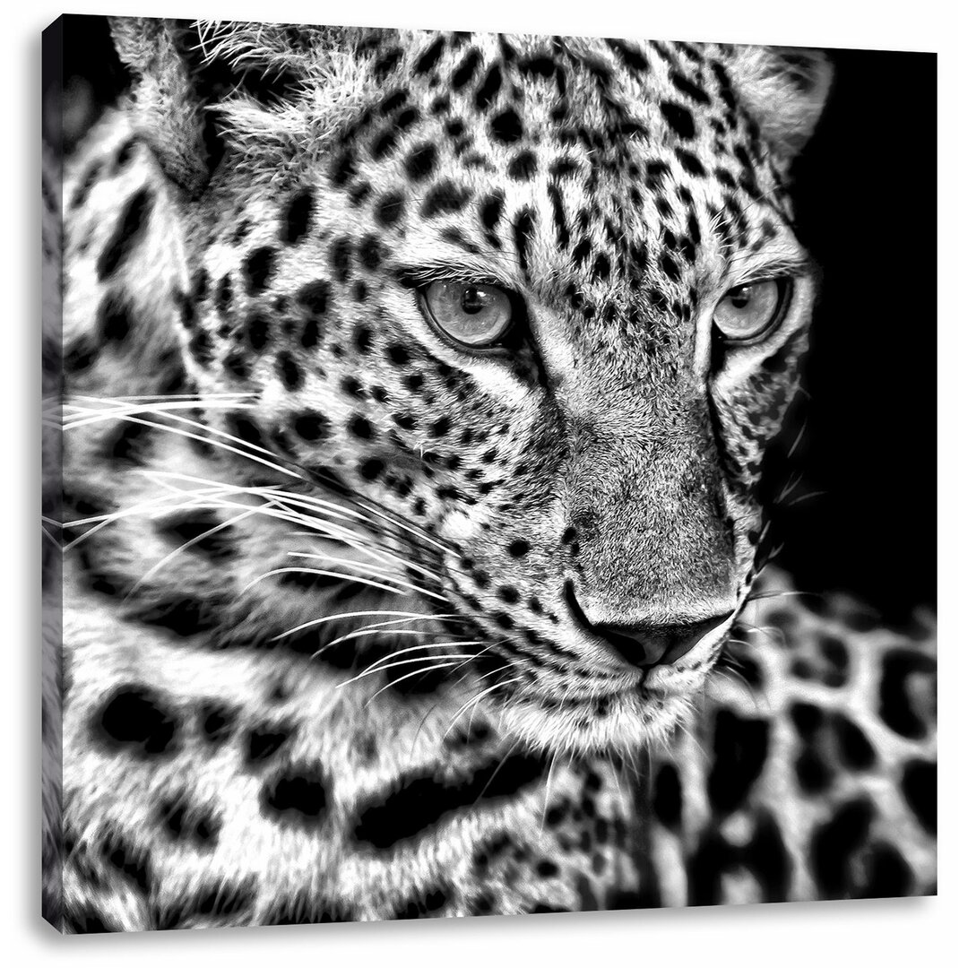 Leinwandbild Leopard mit blauen Augen