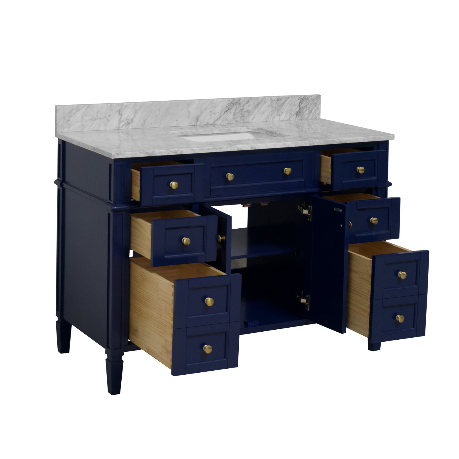 Lakeland 48'' Single Bathroom Vanity, Royal Blue