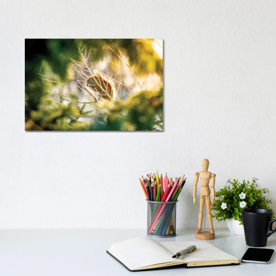 Squirrel Surrounded By Leaves And Light by Nik Rave - Wrapped Canvas Gallery-Wrapped Canvas Giclée