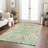 Chayden Area Rug-109487106